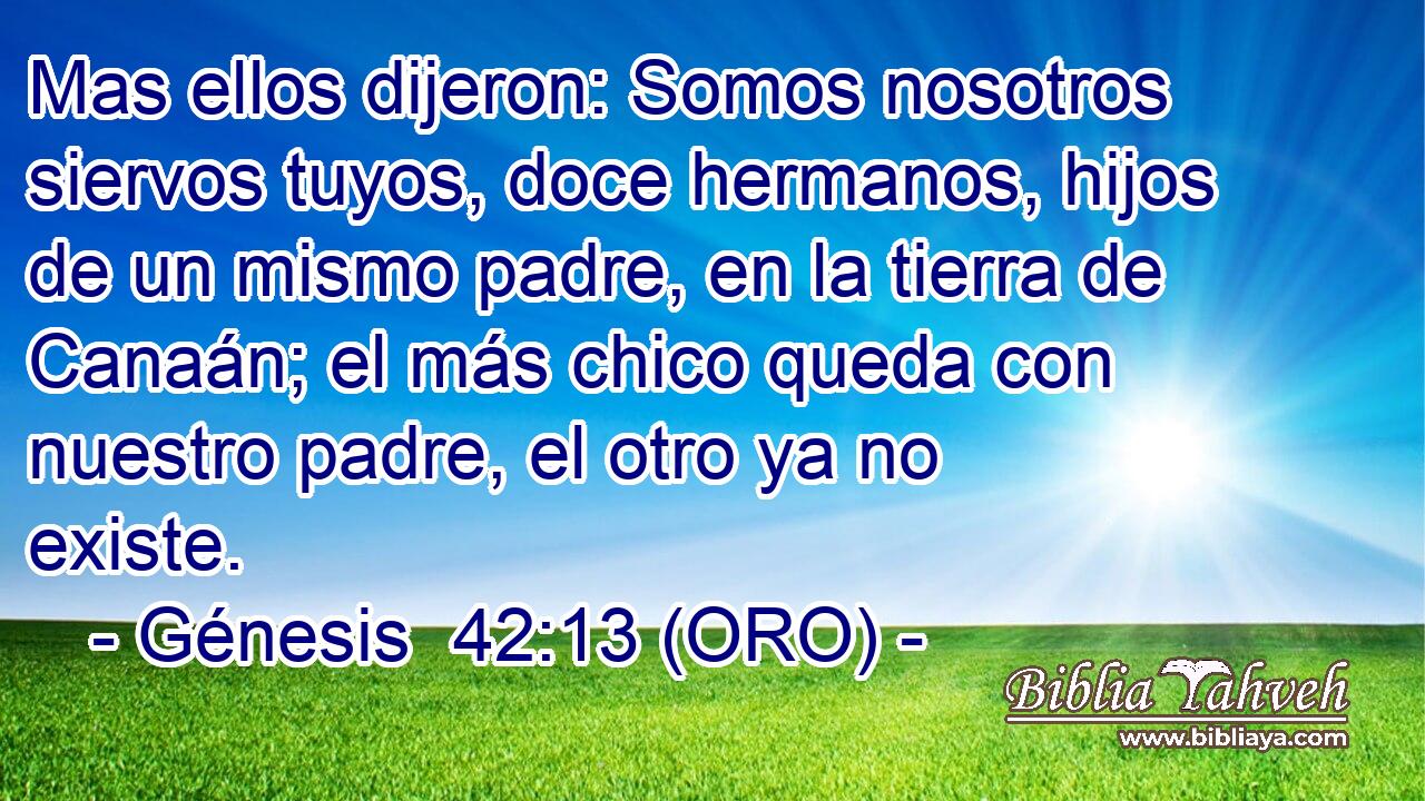  Mas ellos dijeron: Somos nosotros siervos tuyos, doce hermanos, hijos de un mismo padre, en la tierra de Canaán; el más chico queda con nuestro padre, el otro ya no existe. 