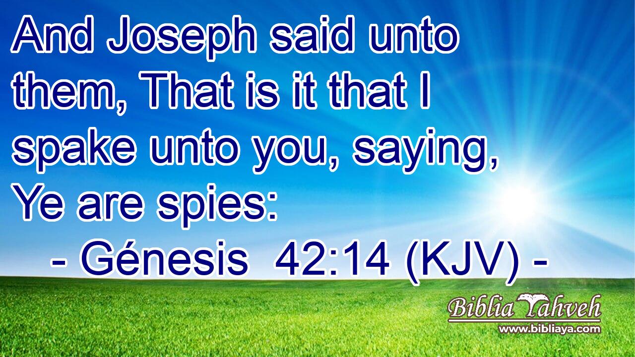 And Joseph said unto them, That is it that I spake unto you, saying, Ye are spies: