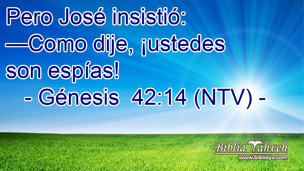 Pero José insistió: —Como dije, ¡ustedes son espías!