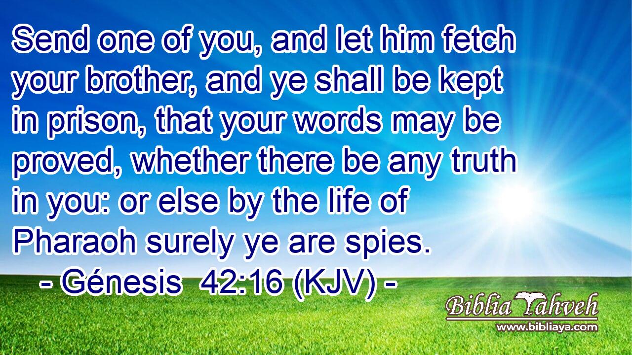 Send one of you, and let him fetch your brother, and ye shall be kept in prison, that your words may be proved, whether there be any truth in you: or else by the life of Pharaoh surely ye are spies.