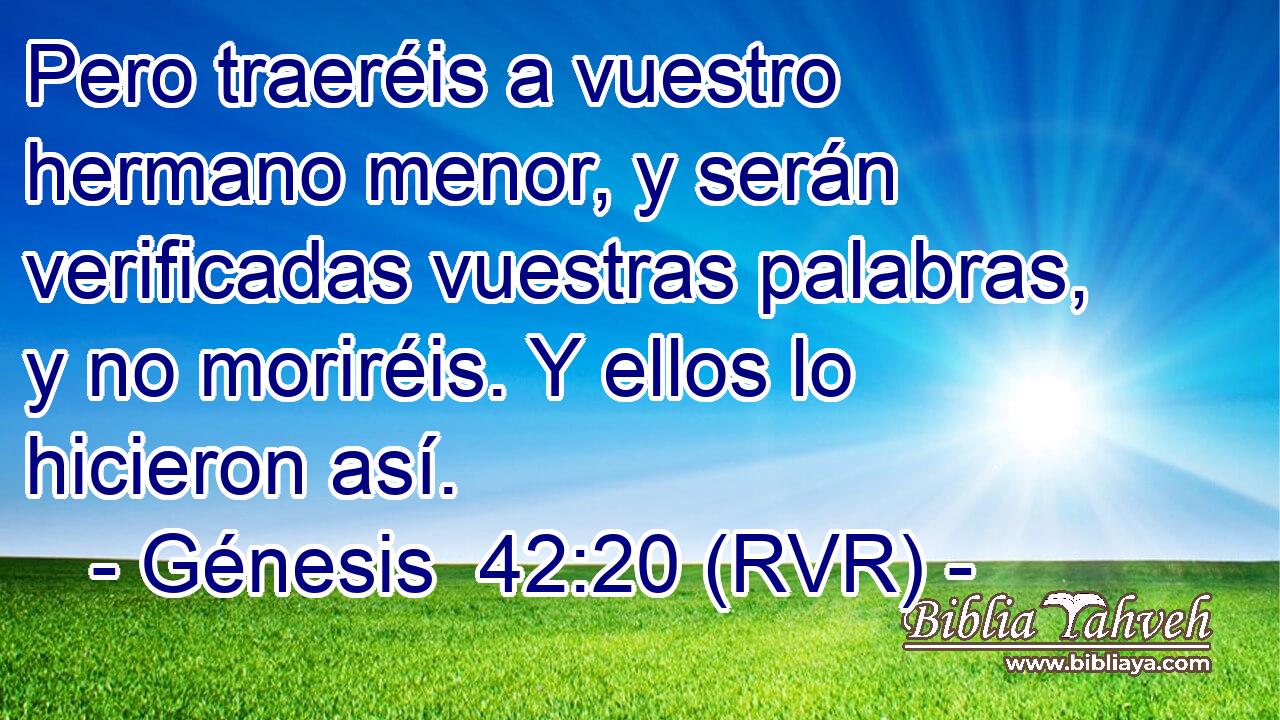 Pero traeréis a vuestro hermano menor, y serán verificadas vuestras palabras, y no moriréis. Y ellos lo hicieron así.