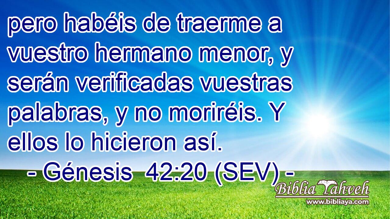 pero habéis de traerme a vuestro hermano menor, y serán verificadas vuestras palabras, y no moriréis. Y ellos lo hicieron así.