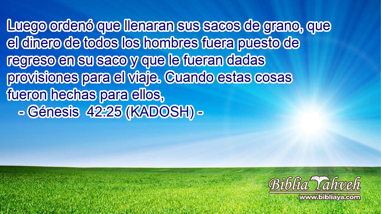  Luego ordenó que llenaran sus sacos de grano, que el dinero de todos los hombres fuera puesto de regreso en su saco y que le fueran dadas provisiones para el viaje. Cuando estas cosas fueron hechas para ellos, 