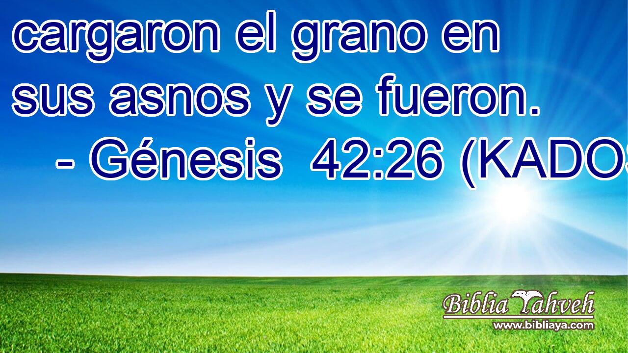 cargaron el grano en sus asnos y se fueron. 