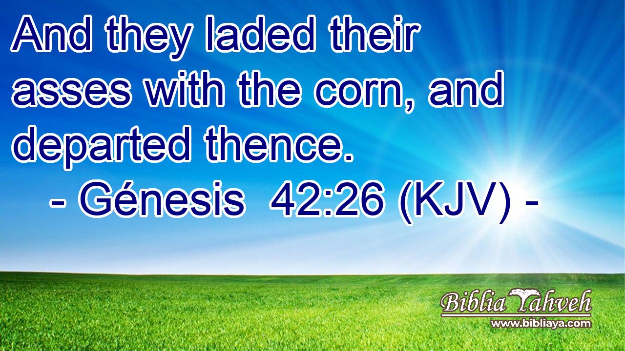 And they laded their asses with the corn, and departed thence.