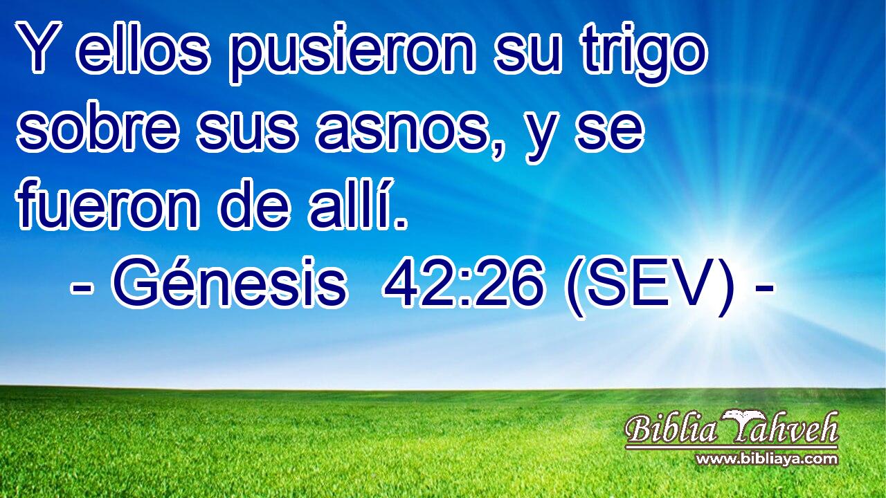 Y ellos pusieron su trigo sobre sus asnos, y se fueron de allí.