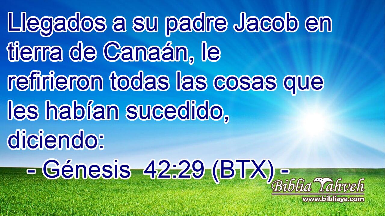 Llegados a su padre Jacob en tierra de Canaán, le refirieron todas las cosas que les habían sucedido, diciendo: