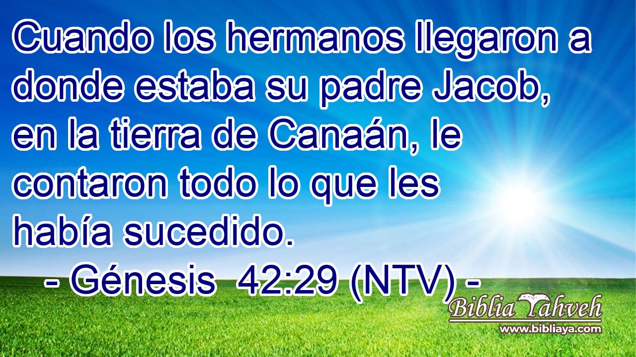 Cuando los hermanos llegaron a donde estaba su padre Jacob, en la tierra de Canaán, le contaron todo lo que les había sucedido.