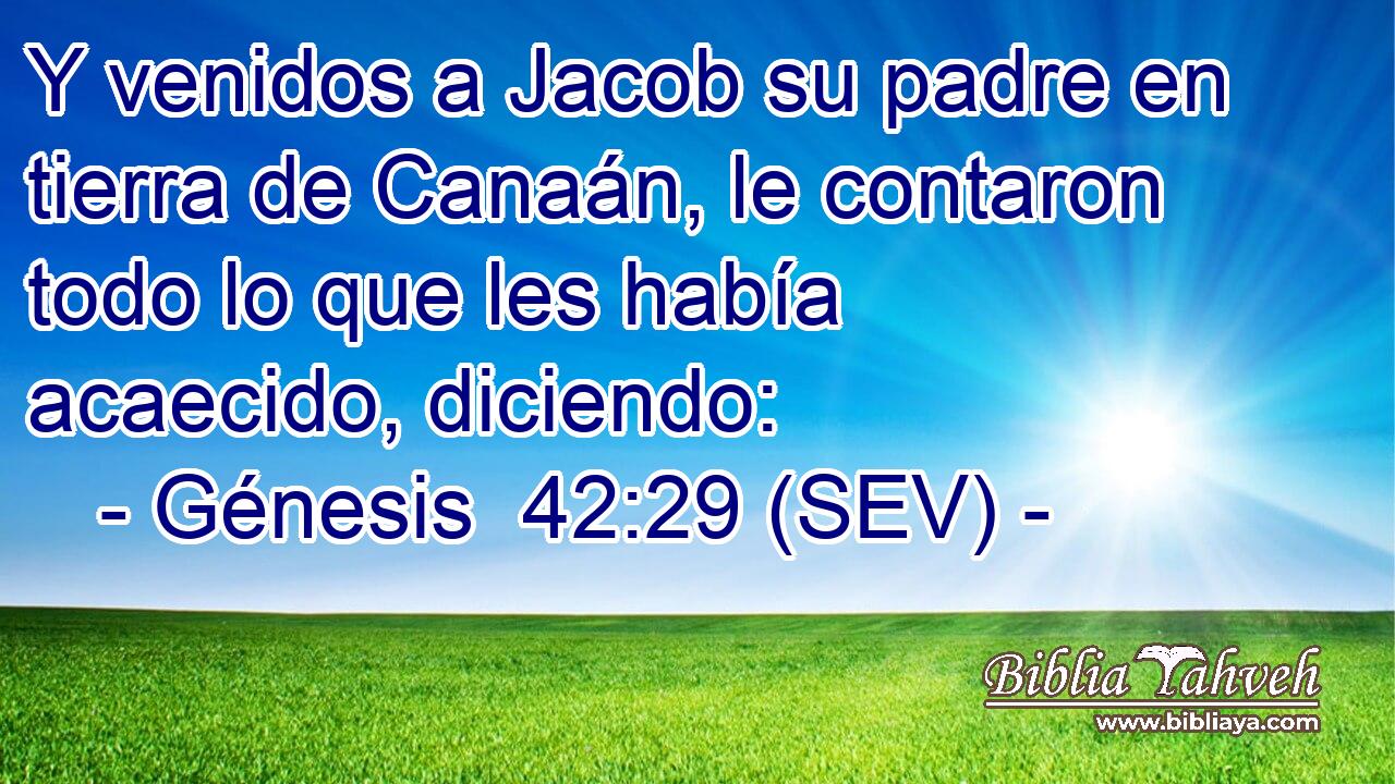 Y venidos a Jacob su padre en tierra de Canaán, le contaron todo lo que les había acaecido, diciendo: