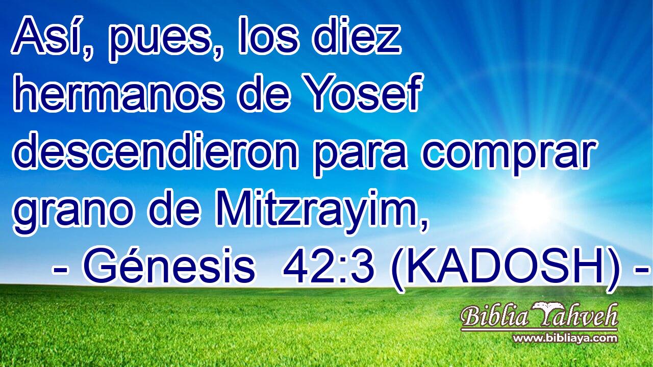  Así, pues, los diez hermanos de Yosef descendieron para comprar grano de Mitzrayim, 