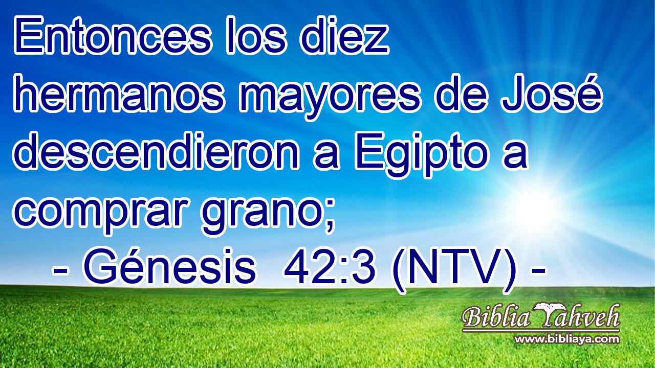 Entonces los diez hermanos mayores de José descendieron a Egipto a comprar grano;