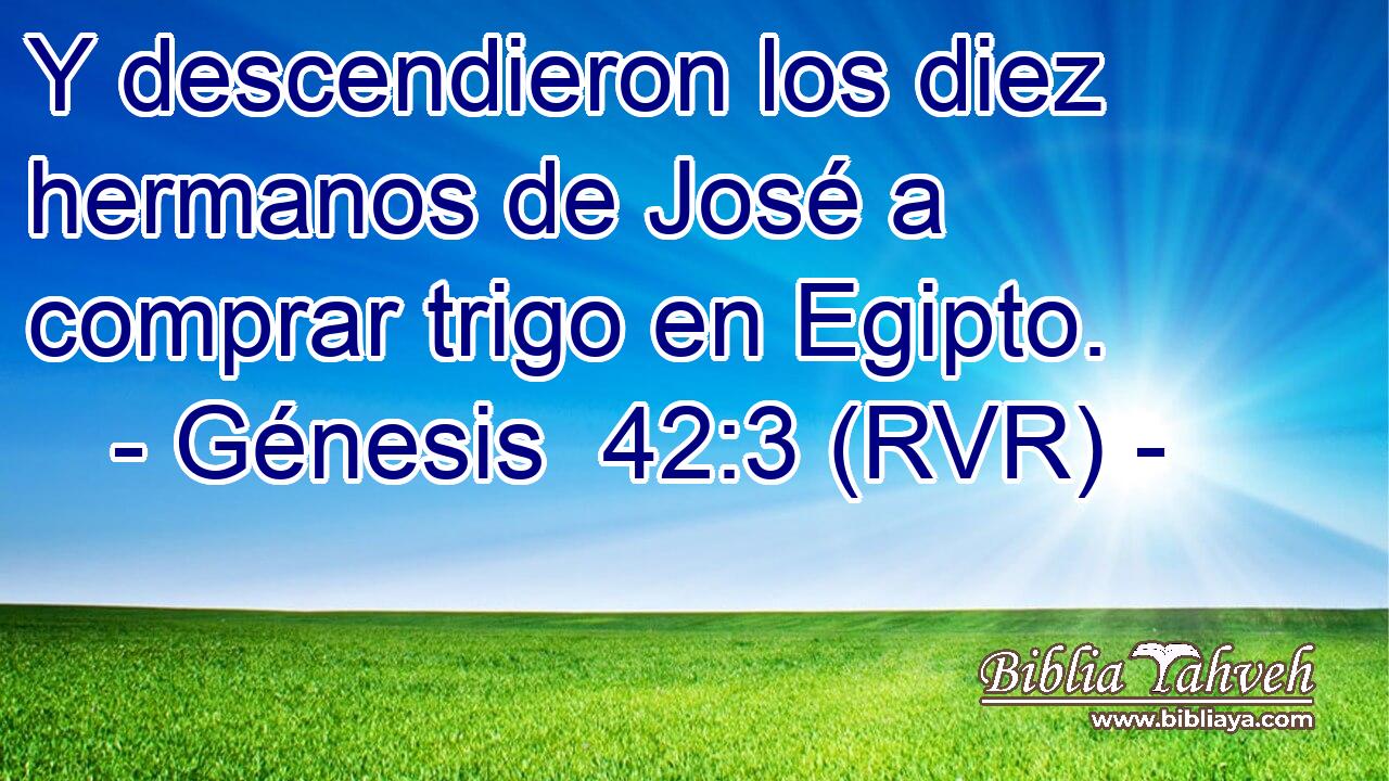 Y descendieron los diez hermanos de José a comprar trigo en Egipto.