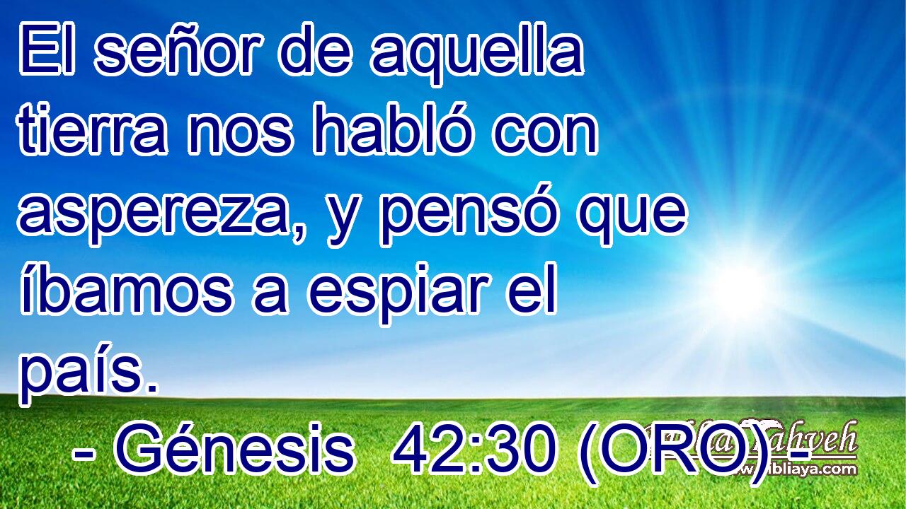  El señor de aquella tierra nos habló con aspereza, y pensó que íbamos a espiar el país. 