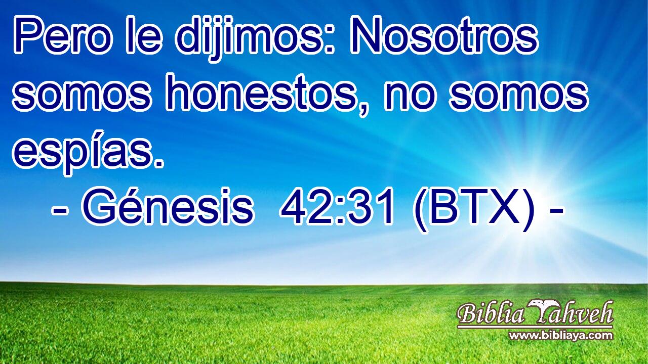 Pero le dijimos: Nosotros somos honestos, no somos espías.
