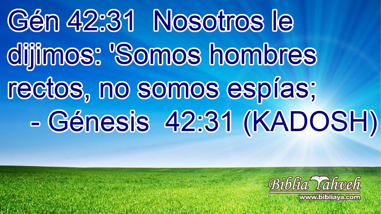  Nosotros le dijimos: 'Somos hombres rectos, no somos espías; 