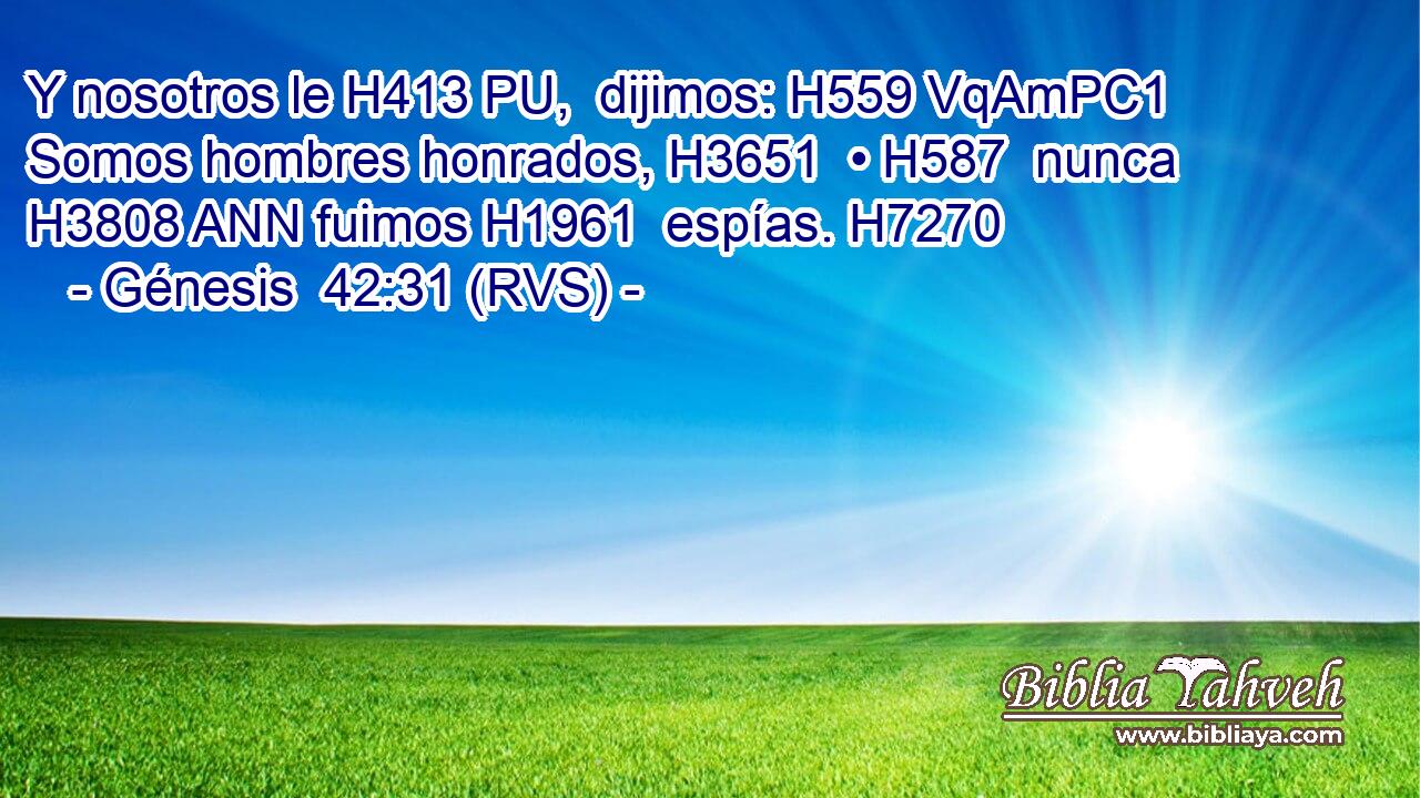 Y nosotros le H413 PU,  dijimos: H559 VqAmPC1 Somos hombres honrados, H3651  • H587  nunca H3808 ANN fuimos H1961  espías. H7270  