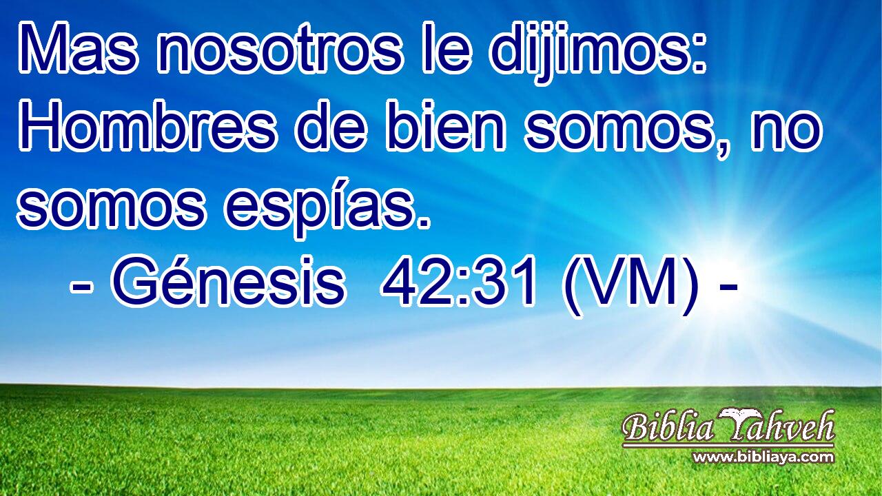  Mas nosotros le dijimos: Hombres de bien somos, no somos espías. 