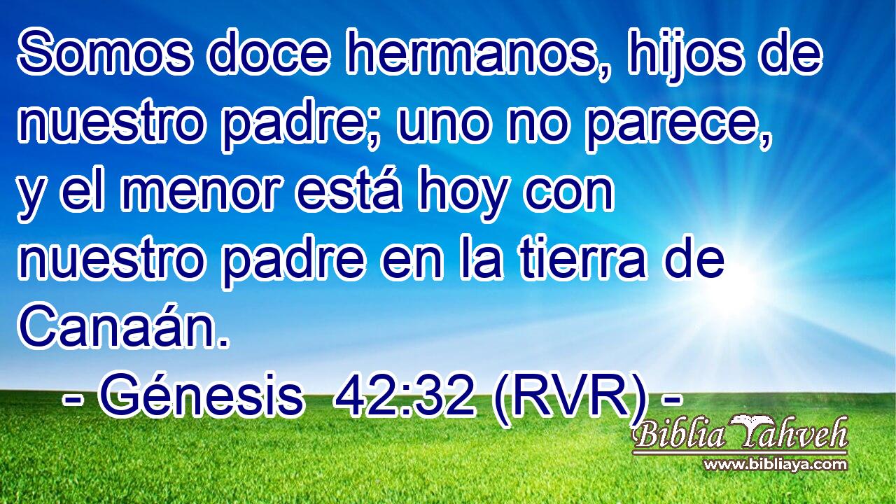 Somos doce hermanos, hijos de nuestro padre; uno no parece, y el menor está hoy con nuestro padre en la tierra de Canaán.