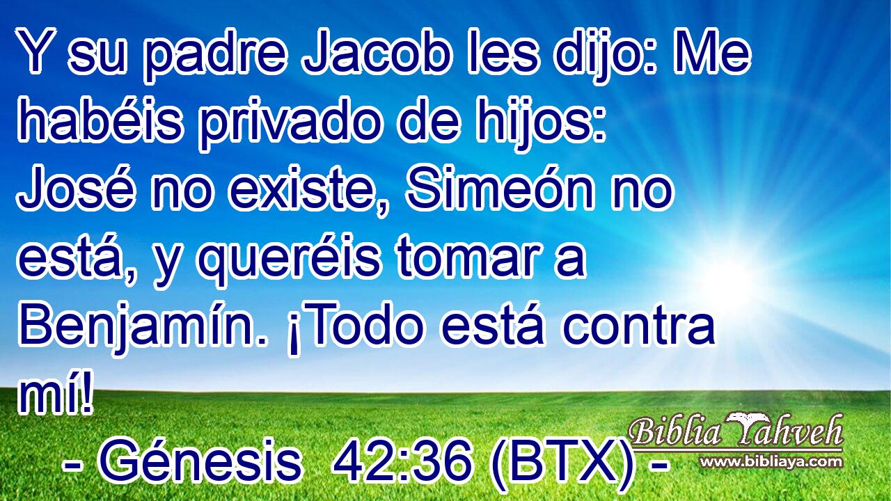 Y su padre Jacob les dijo: Me habéis privado de hijos: José no existe, Simeón no está, y queréis tomar a Benjamín. ¡Todo está contra mí!