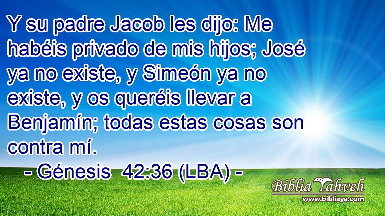 Y su padre Jacob les dijo: Me habéis privado de mis hijos; José ya no existe, y Simeón ya no existe, y os queréis llevar a Benjamín; todas estas cosas son contra mí.