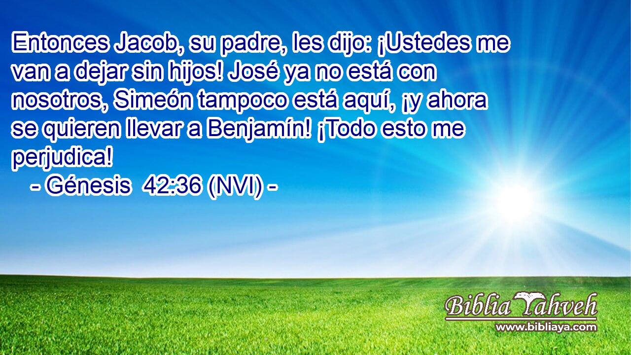  Entonces Jacob, su padre, les dijo: ¡Ustedes me van a dejar sin hijos! José ya no está con nosotros, Simeón tampoco está aquí, ¡y ahora se quieren llevar a Benjamín! ¡Todo esto me perjudica! 