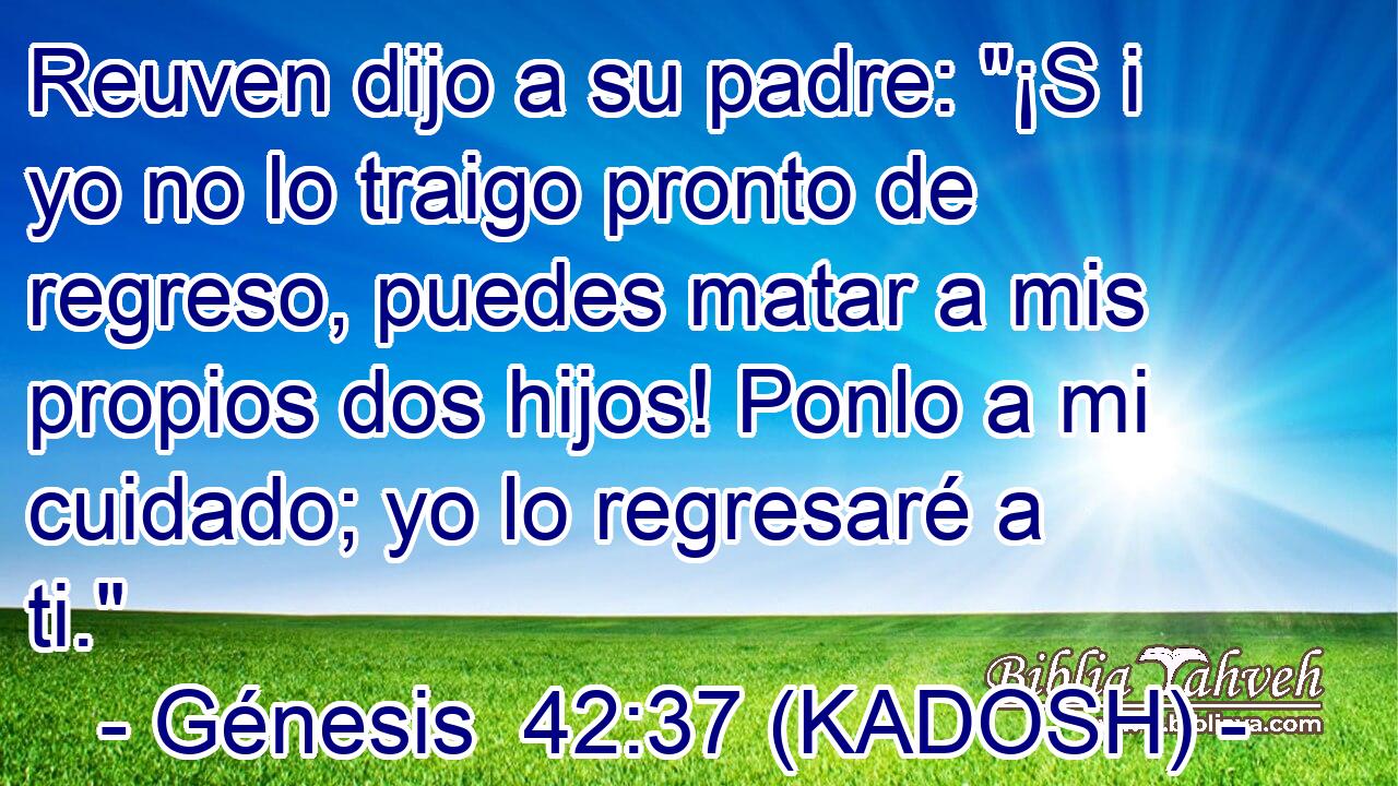  Reuven dijo a su padre: 