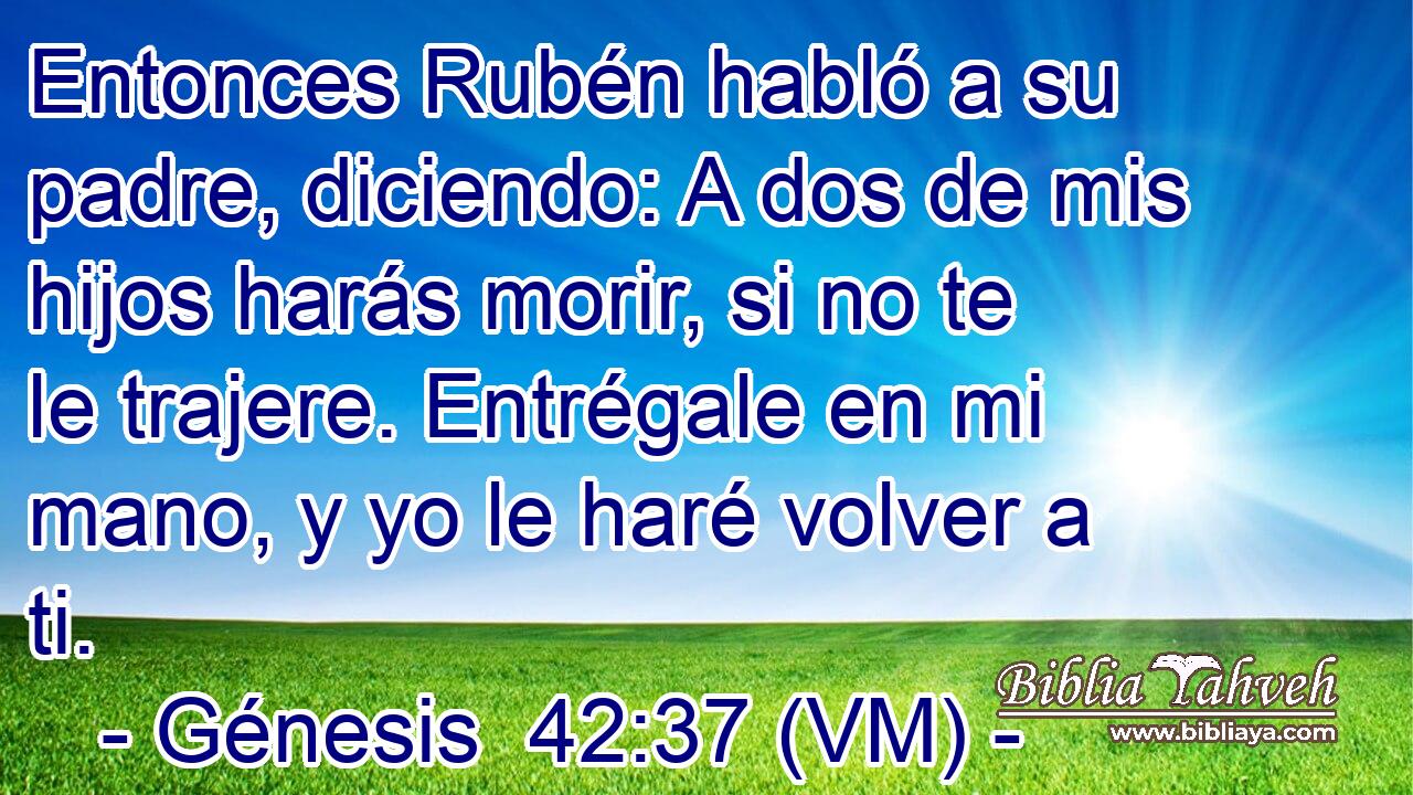 Entonces Rubén habló a su padre, diciendo: A dos de mis hijos harás morir, si no te le trajere. Entrégale en mi mano, y yo le haré volver a ti. 