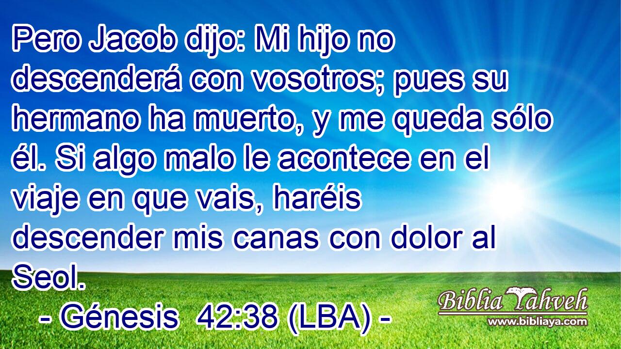 Pero Jacob dijo: Mi hijo no descenderá con vosotros; pues su hermano ha muerto, y me queda sólo él. Si algo malo le acontece en el viaje en que vais, haréis descender mis canas con dolor al Seol.