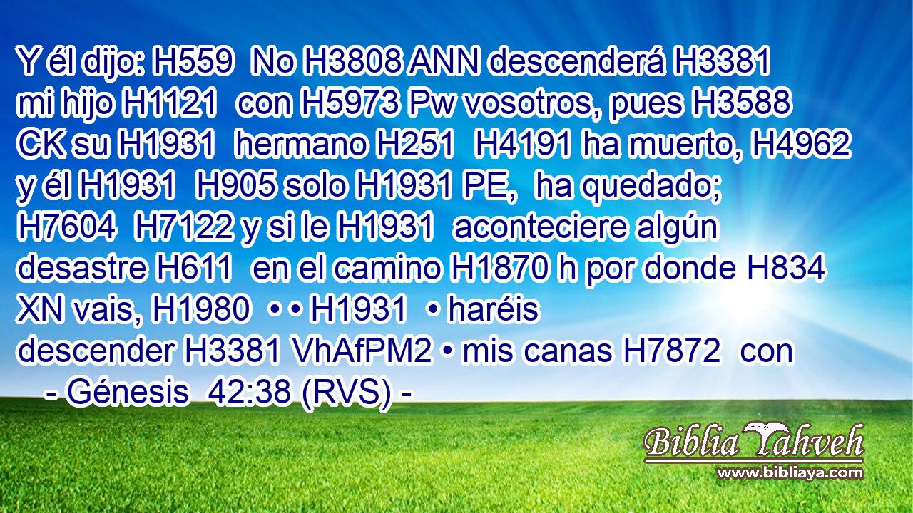 Y él dijo: H559  No H3808 ANN descenderá H3381  mi hijo H1121  con H5973 Pw vosotros, pues H3588 CK su H1931  hermano H251  H4191 ha muerto, H4962  y él H1931  H905 solo H1931 PE,  ha quedado; H7604  H7122 y si le H1931  aconteciere algún desastre H611  en el camino H1870 h por donde H834 XN vais, H1980  • • H1931  • haréis descender H3381 VhAfPM2 • mis canas H7872  con 