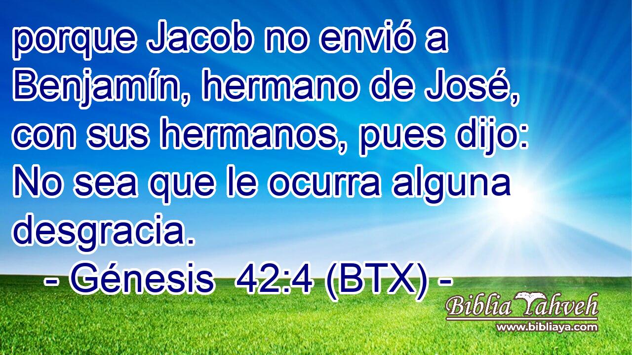 porque Jacob no envió a Benjamín, hermano de José, con sus hermanos, pues dijo: No sea que le ocurra alguna desgracia.