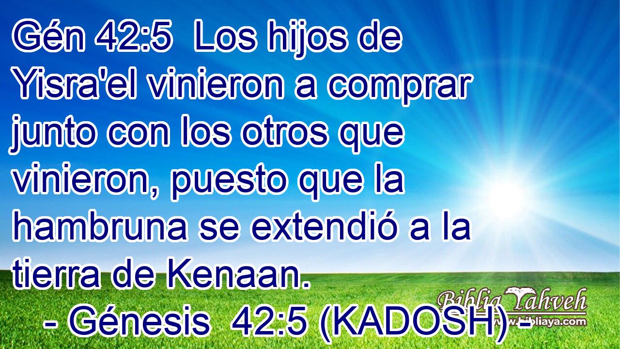  Los hijos de Yisra'el vinieron a comprar junto con los otros que vinieron, puesto que la hambruna se extendió a la tierra de Kenaan. 