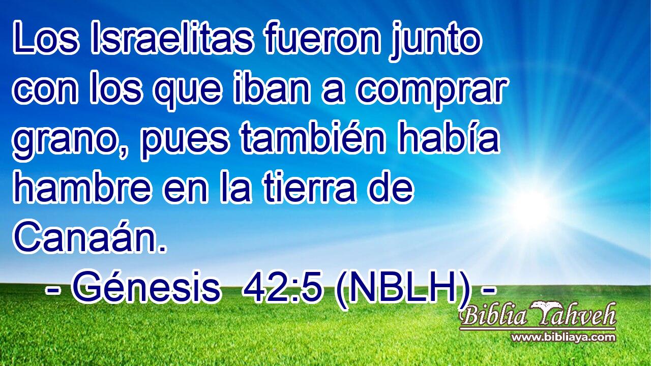 Los Israelitas fueron junto con los que iban a comprar grano, pues también había hambre en la tierra de Canaán. 