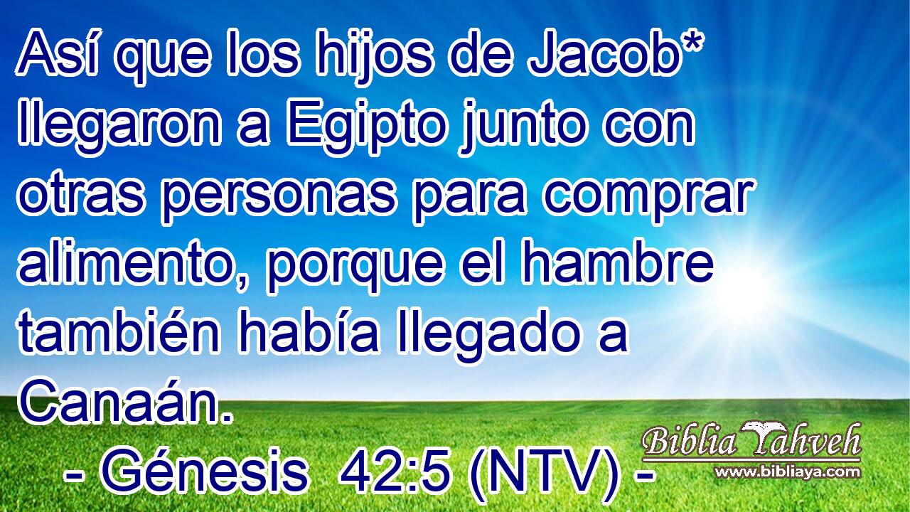 Así que los hijos de Jacob* llegaron a Egipto junto con otras personas para comprar alimento, porque el hambre también había llegado a Canaán.