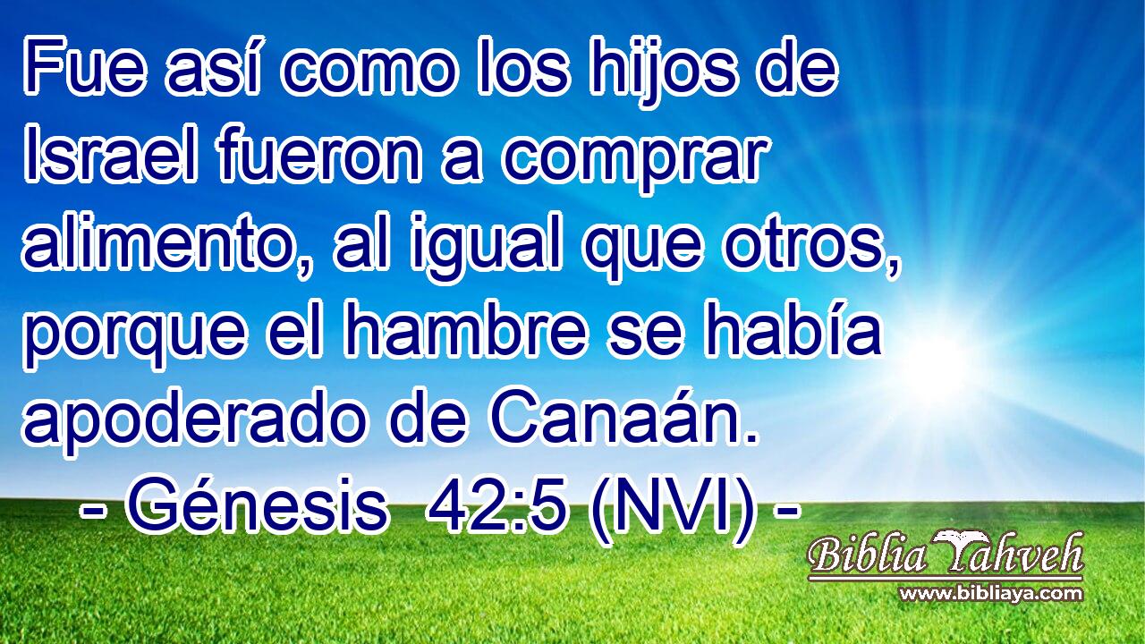  Fue así como los hijos de Israel fueron a comprar alimento, al igual que otros, porque el hambre se había apoderado de Canaán. 