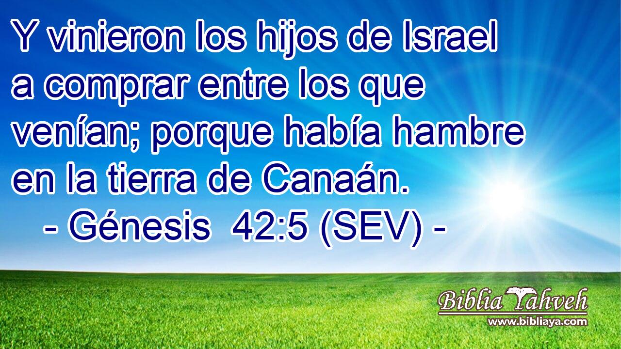 Y vinieron los hijos de Israel a comprar entre los que venían; porque había hambre en la tierra de Canaán.
