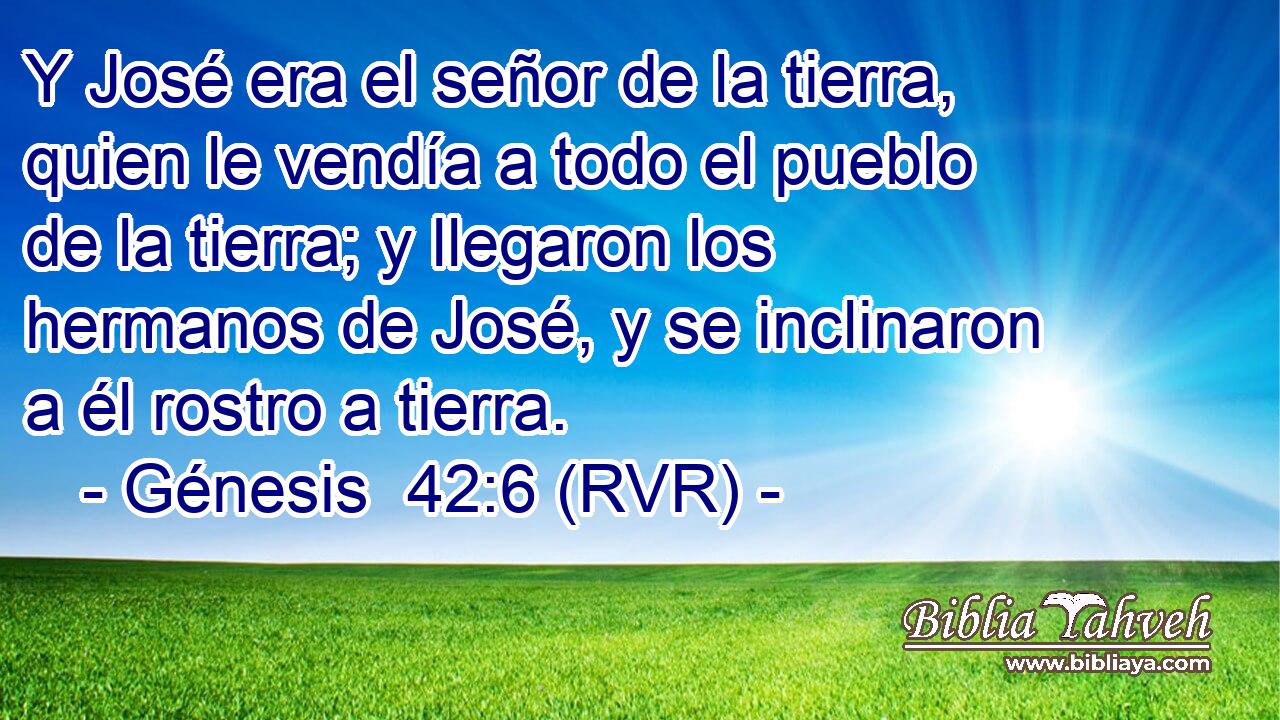 Y José era el señor de la tierra, quien le vendía a todo el pueblo de la tierra; y llegaron los hermanos de José, y se inclinaron a él rostro a tierra.