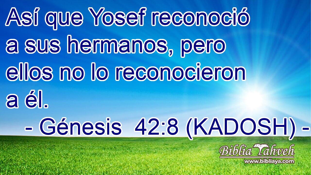 Así que Yosef reconoció a sus hermanos, pero ellos no lo reconocieron a él. 