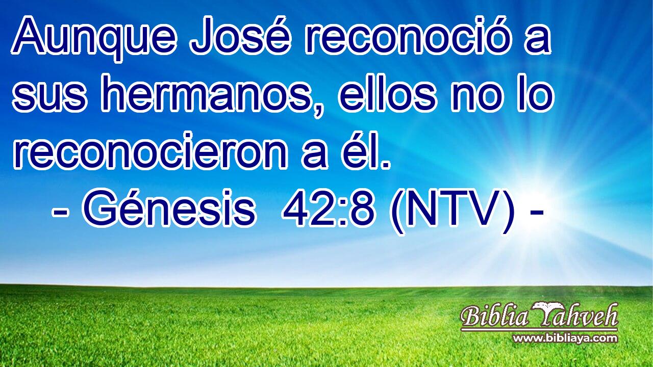 Aunque José reconoció a sus hermanos, ellos no lo reconocieron a él.
