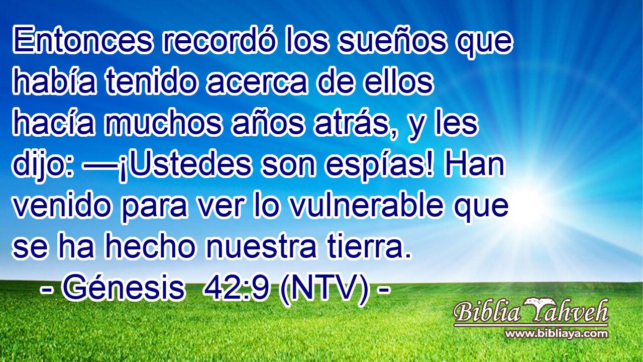 Entonces recordó los sueños que había tenido acerca de ellos hacía muchos años atrás, y les dijo: —¡Ustedes son espías! Han venido para ver lo vulnerable que se ha hecho nuestra tierra.