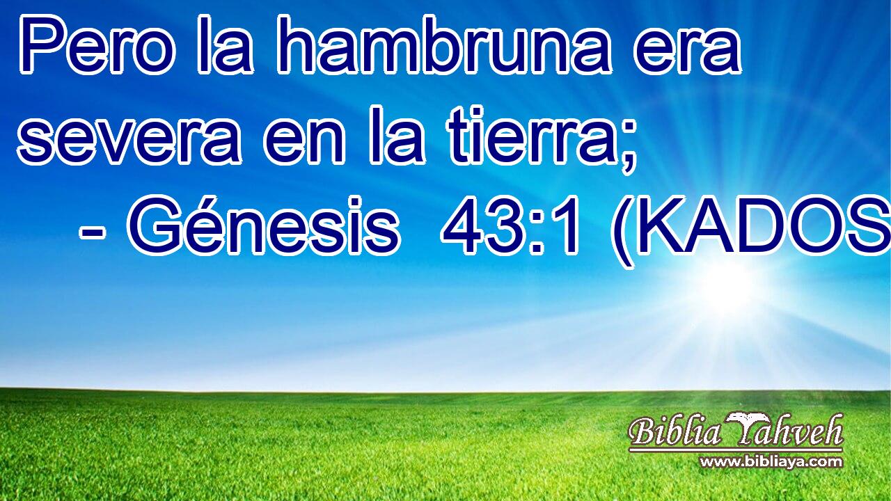  Pero la hambruna era severa en la tierra; 