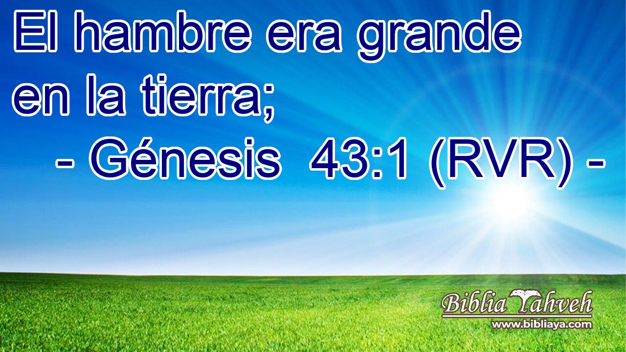 El hambre era grande en la tierra;