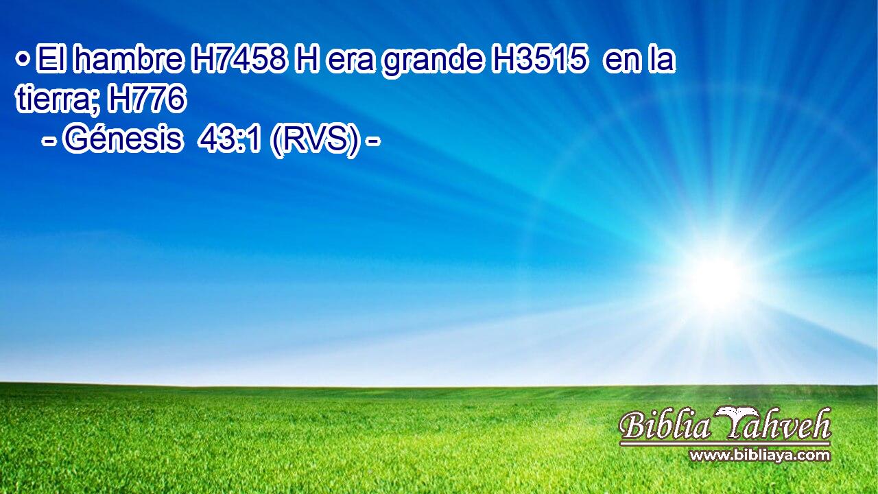 • El hambre H7458 H era grande H3515  en la tierra; H776  