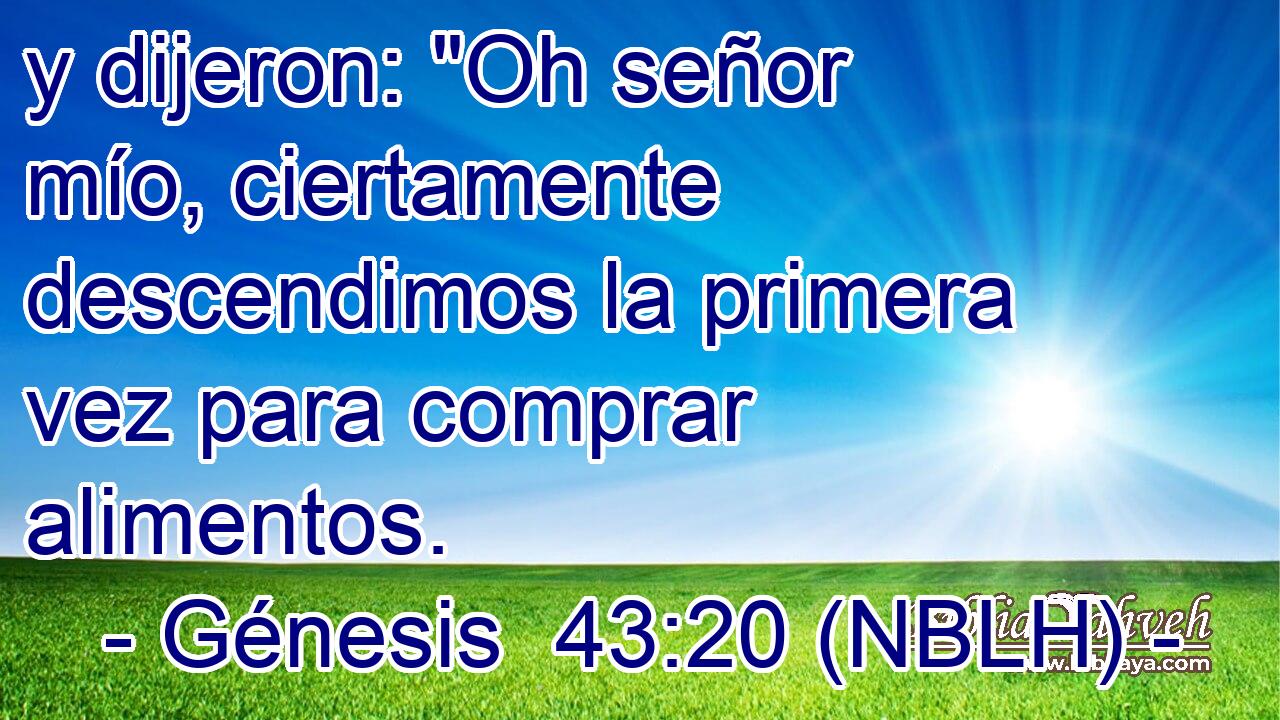  y dijeron: 