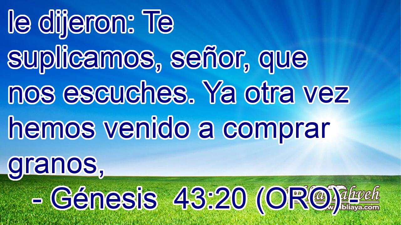  le dijeron: Te suplicamos, señor, que nos escuches. Ya otra vez hemos venido a comprar granos, 