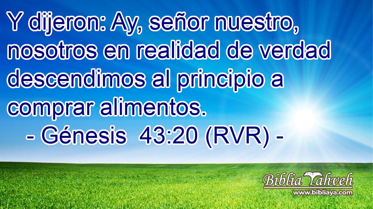 Y dijeron: Ay, señor nuestro, nosotros en realidad de verdad descendimos al principio a comprar alimentos.