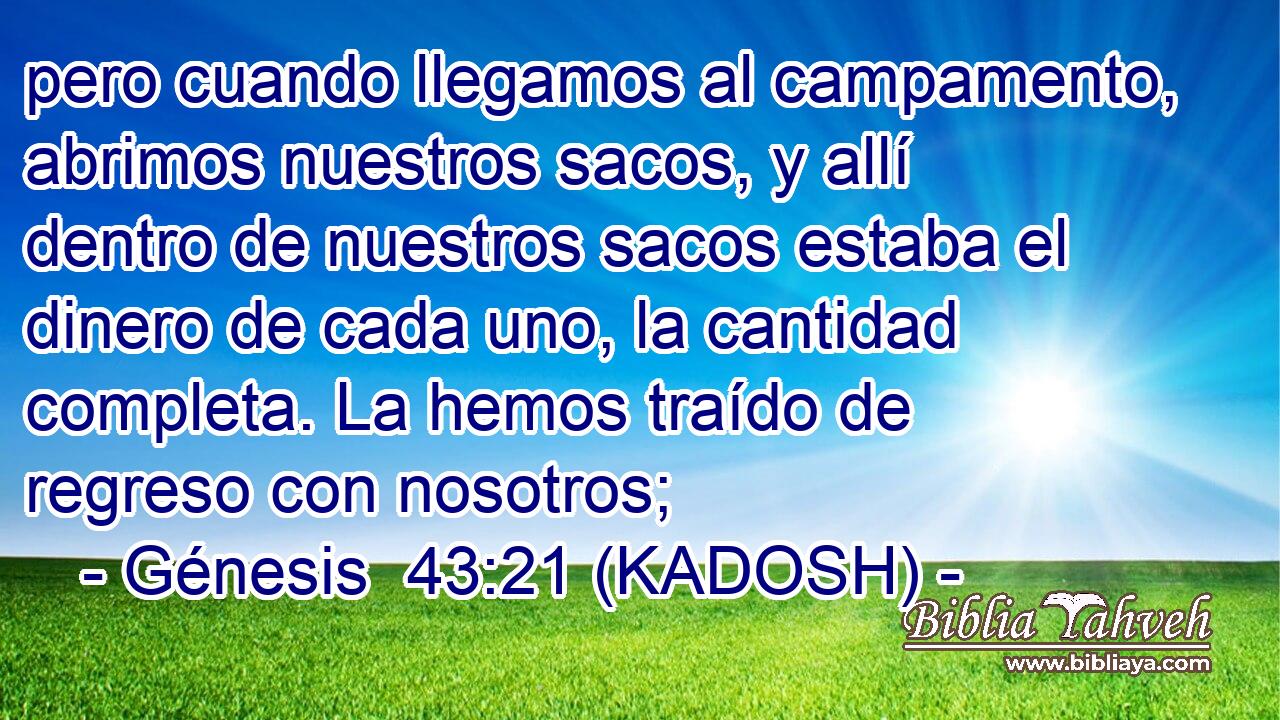  pero cuando llegamos al campamento, abrimos nuestros sacos, y allí dentro de nuestros sacos estaba el dinero de cada uno, la cantidad completa. La hemos traído de regreso con nosotros; 