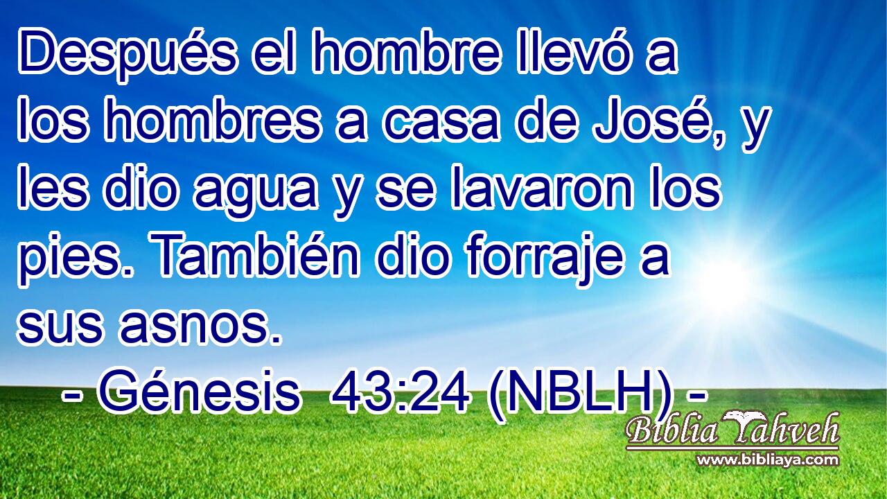  Después el hombre llevó a los hombres a casa de José, y les dio agua y se lavaron los pies. También dio forraje a sus asnos. 