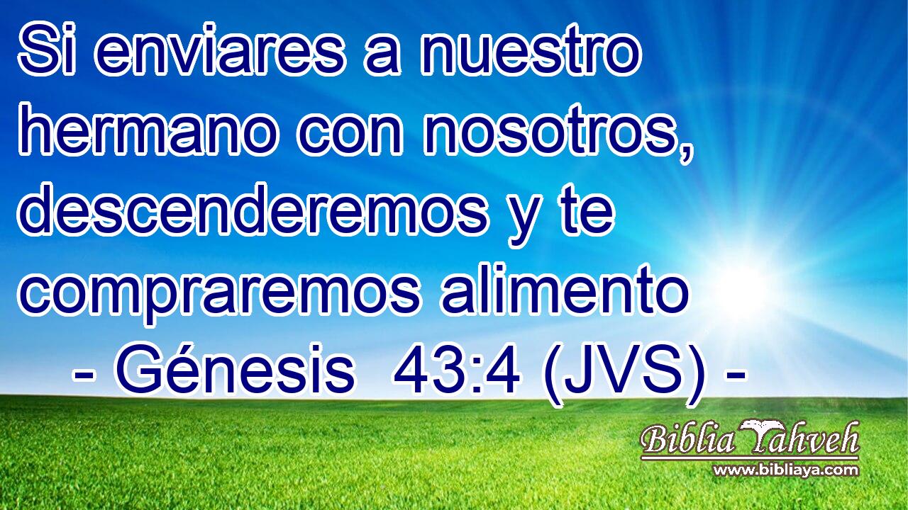 Si enviares a nuestro hermano con nosotros, descenderemos y te compraremos alimento