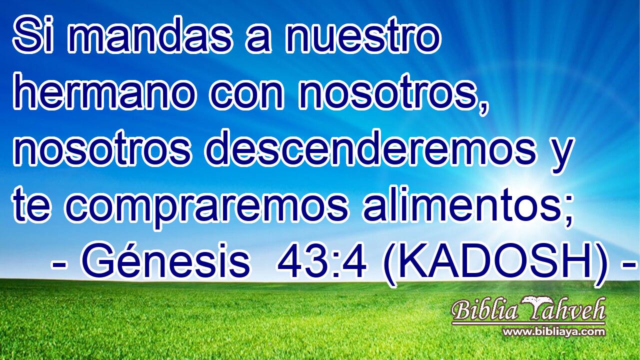  Si mandas a nuestro hermano con nosotros, nosotros descenderemos y te compraremos alimentos; 
