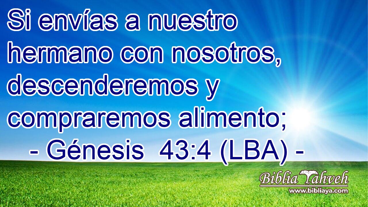 Si envías a nuestro hermano con nosotros, descenderemos y compraremos alimento;